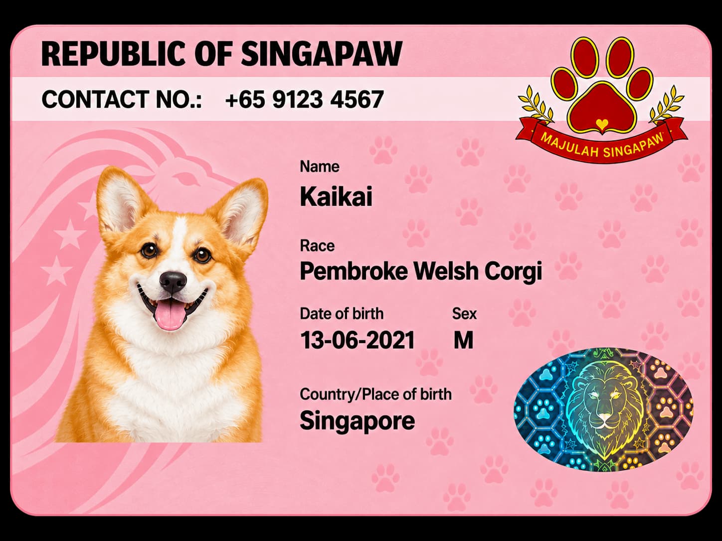 Kaikai’s blue Republic of Singapaw example profile