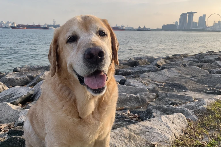Bailey album photo 1