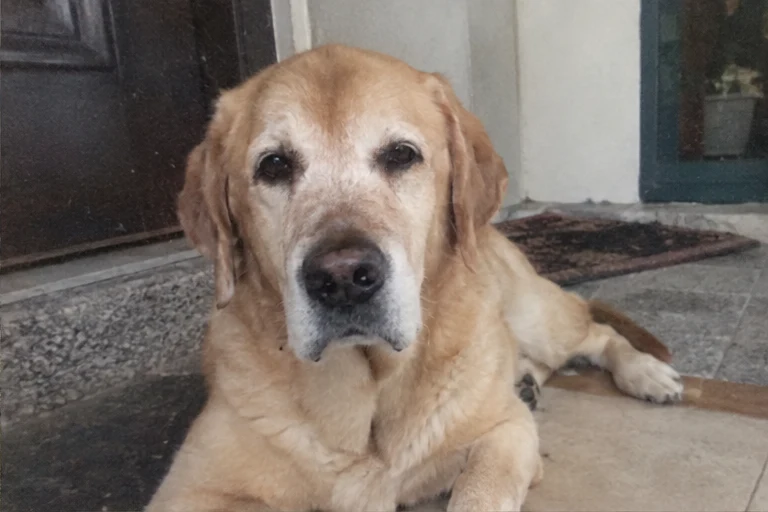 Bailey album photo 2