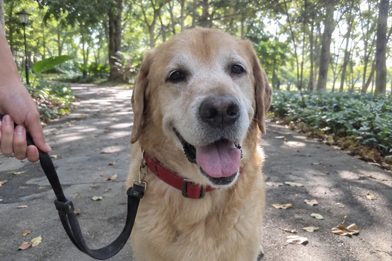 Bailey album photo 3