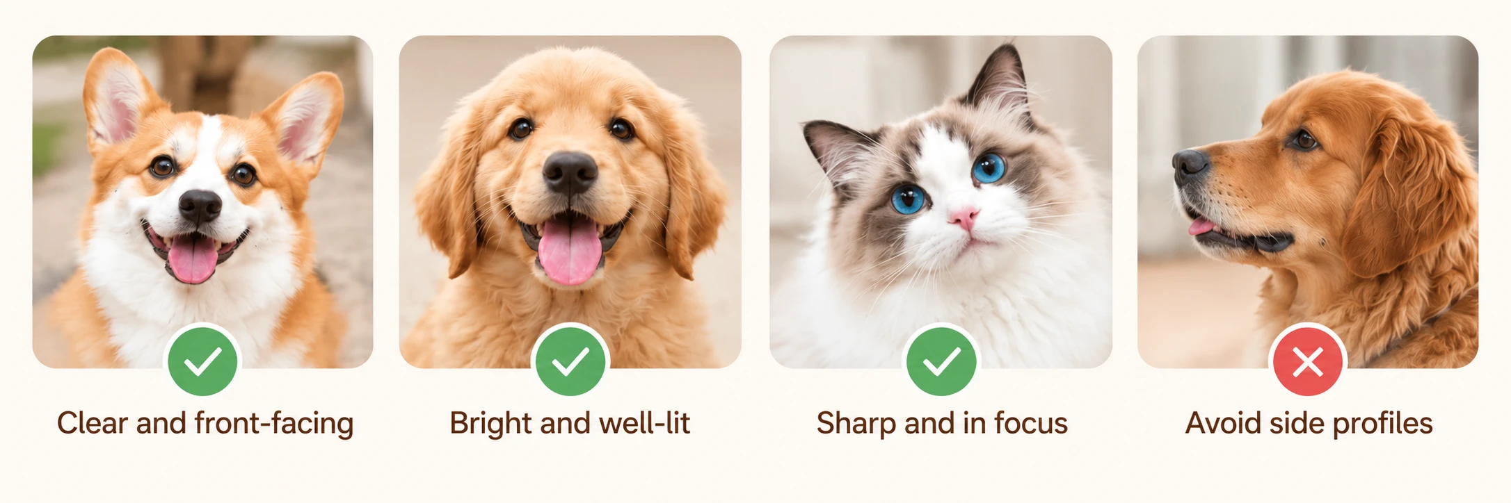 Pet photo guide: use a clear, well-lit, front-facing portrait with the entire face visible; avoid blurry, cropped, dark, overexposed, or side-profile photos.